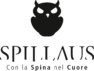 Spillaus per chi la birra la ama davvero